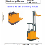 OM Pimespo TSR20, TSR30, TSR31, CSR Workshop Repair Manual