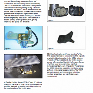 Doosan Daewoo G430e, G643e Tier 2 Lp Engine Forklift Service Manual