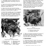 Komatsu Dresser 100c, 100e ,125c And 125e Dozer Service Manual