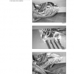 Case DV201, DV202, DV204 Vibratory Rollers Service Manual - Image 4