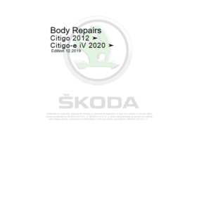 SKODA CITIGO-E IV (NE) Repair Service Manual