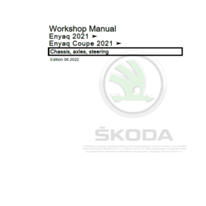 SKODA ENYAQ (5A, 5AC, 5AZ) Repair Service Manual - Image 3