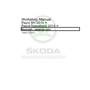 SKODA RAPID (NH) Repair Service Manual - Image 3