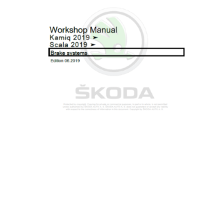 SKODA SCALA (NW, NW1) Repair Service Manual - Image 3