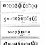 Timberjack 200A Series Skidder Forwarder Service Repair Manual (SN 845001-848114 & AA3590-973062) - Image 5