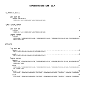 CNH F5 (F5AE & F5CE ) Tier 3 Engine Repair Manual - Image 4