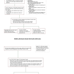Caterpillar CAT 305C CR Mini Hydraulic Excavator Service Repair Manual (HWJ00001 and up) - Image 2