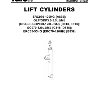 Yale GC70LJ, GC80LJ, GC100MJ, GC120MJ Forklift C818 Service Repair Manual - Image 3