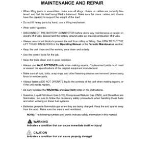 Yale GC70LJ, GC80LJ, GC80LJBCS, GC100MJ, GC100MJBCS, GC120MJ, GC120MJSPRS Forklift D818 Series Repair Manual - Image 5