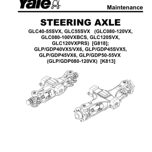 Yale GDP080VX, GDP090VX, GDP100VX, GDP110VX, GDP120VX Forklift K813 Series Repair Manual - Image 4