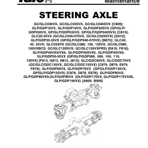 Yale GLP135VX, GLP155VX, GDP135VX, GDP155VX Forklift D878 Series Repair Manual - Image 4